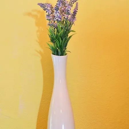 Duga Apartament